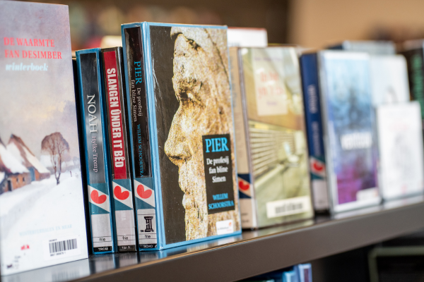 Fryske boeken by de byb